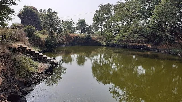 Pune to Kaas Pathar One Day Trip - image 3