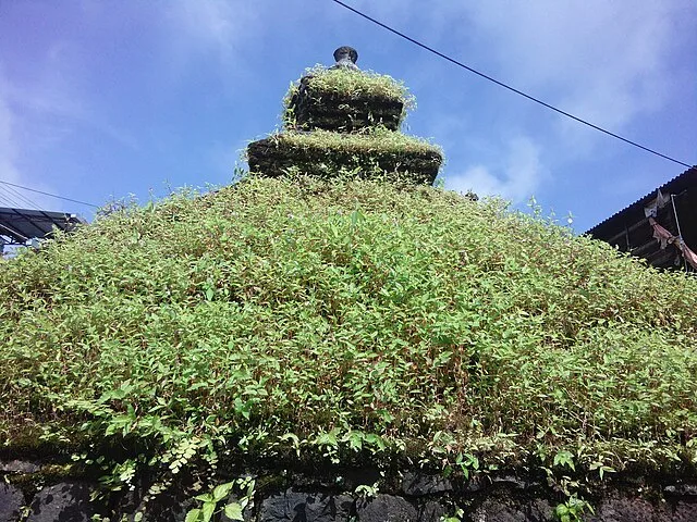 Mumbai to Bhimashankar One-Day Trip by Car