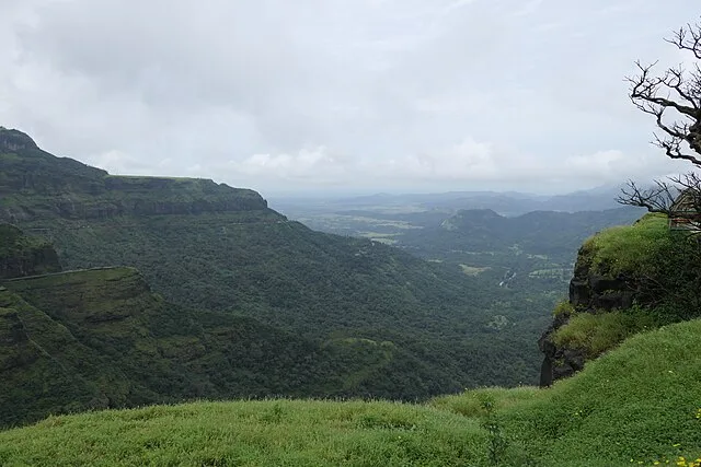 Malshej ghat
1 Day Malshej Ghat Trip From Mumbai 